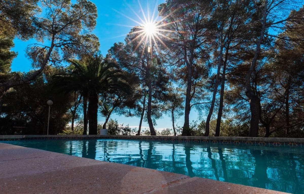 Venta de finca rústica en Barrio Lomas de Cabo Roig-Los Dolses , Orihuela photo 3