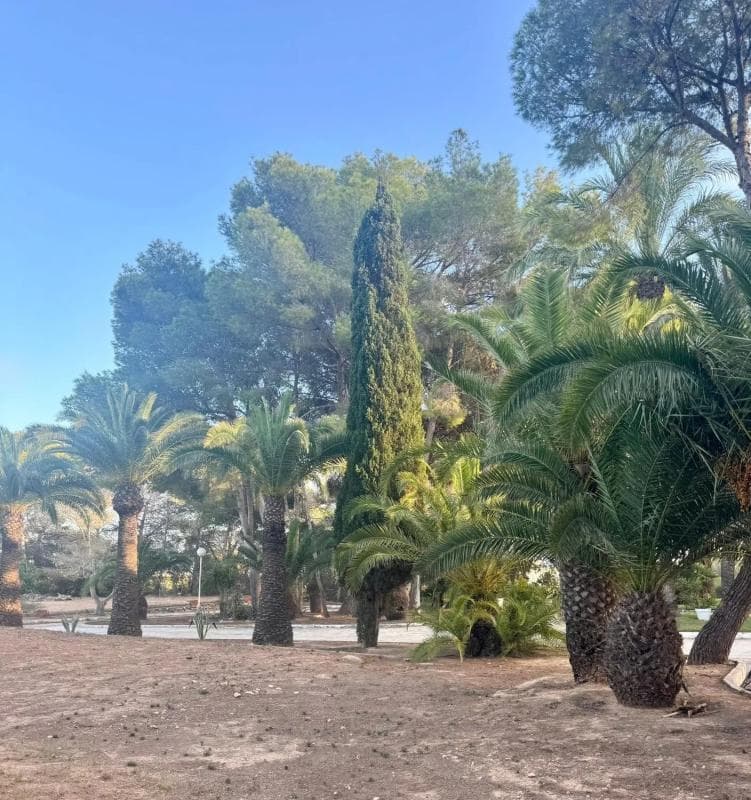Venta de finca rústica en Barrio Lomas de Cabo Roig-Los Dolses , Orihuela photo 5