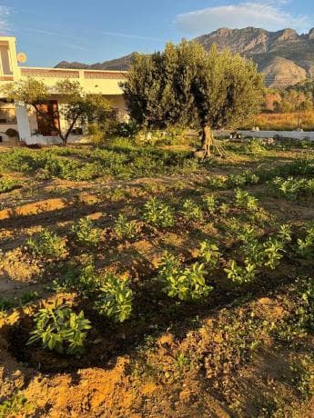 Chalet independiente en venta en Altea la Vella, Altea
thumbnail 2