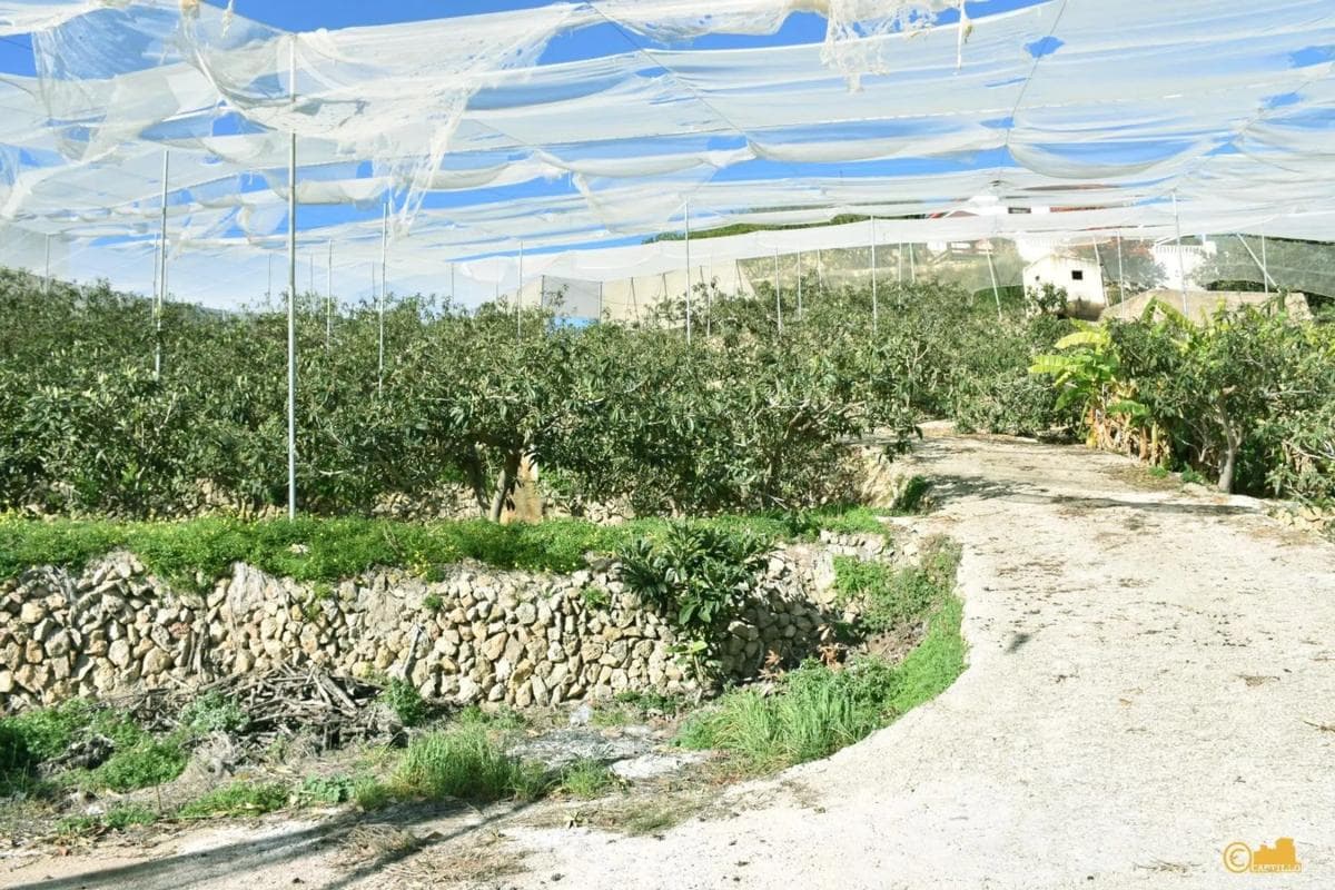 Venta de finca rústica en Calle del Fondo , Callosa d''En Sarria photo 3