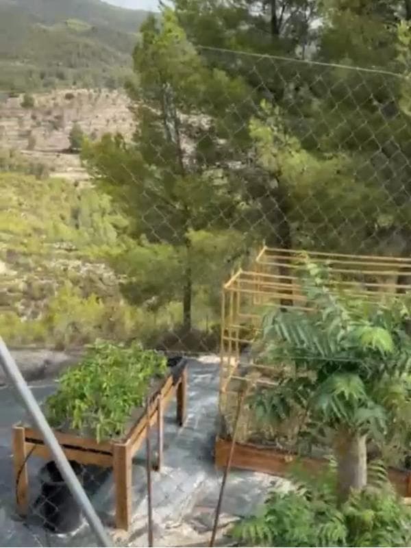 Venta de finca rústica en Partida Teix km 13,2, 13 Km , Relleu photo 2