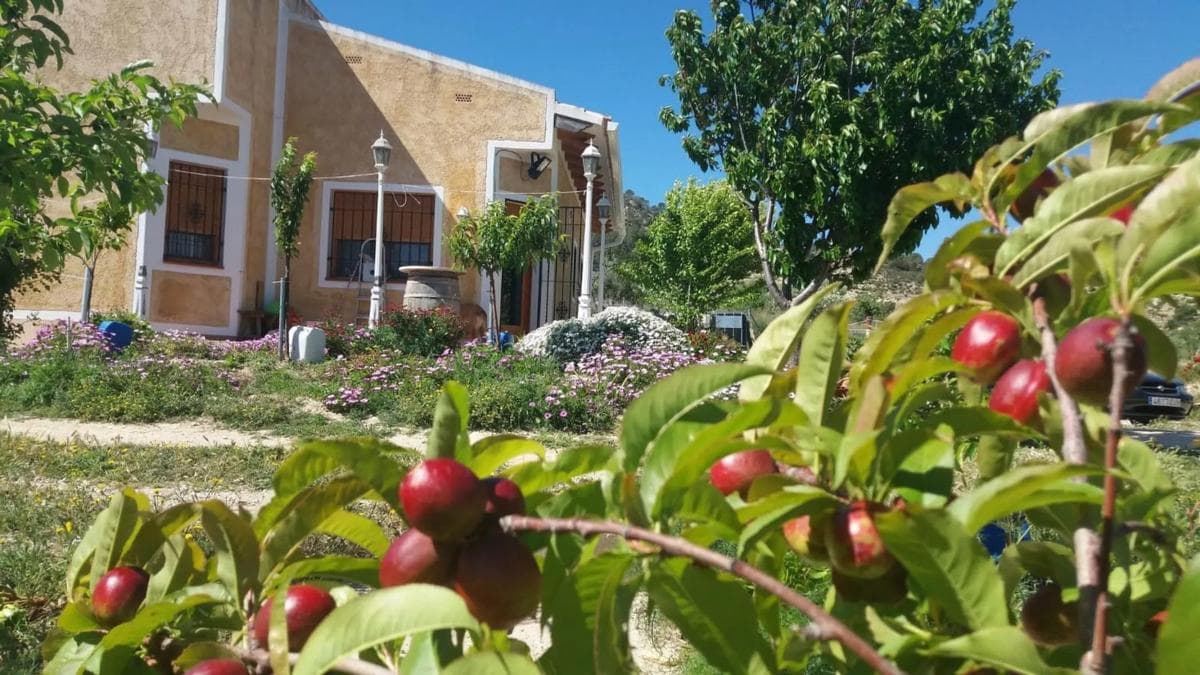 Venta de finca rústica en Partida les Macaroves, 6 , Relleu photo 3
