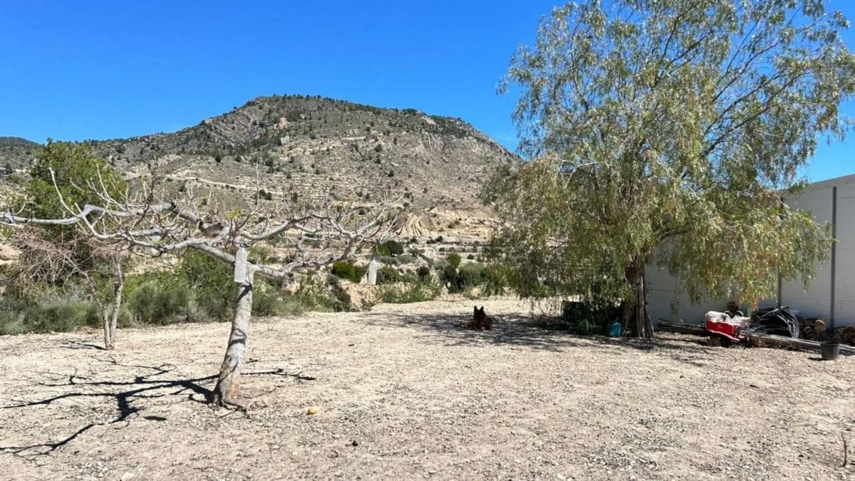 Venta de finca rústica en Relleu , Relleu photo 5