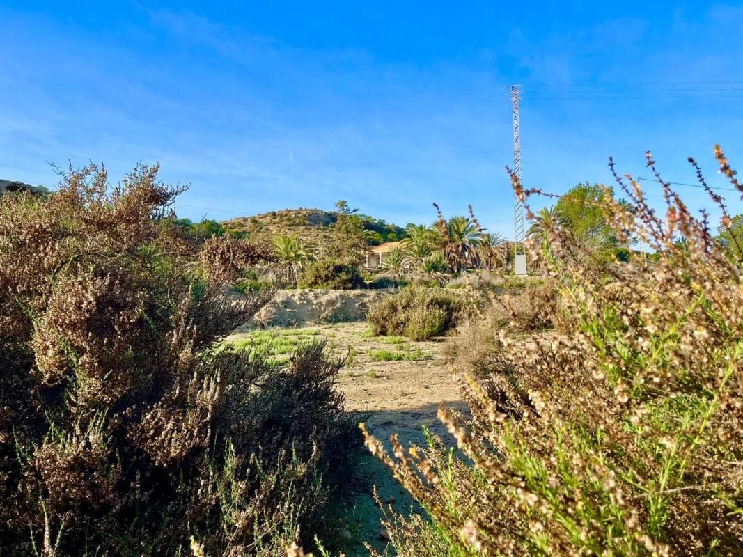 Property photo 5
