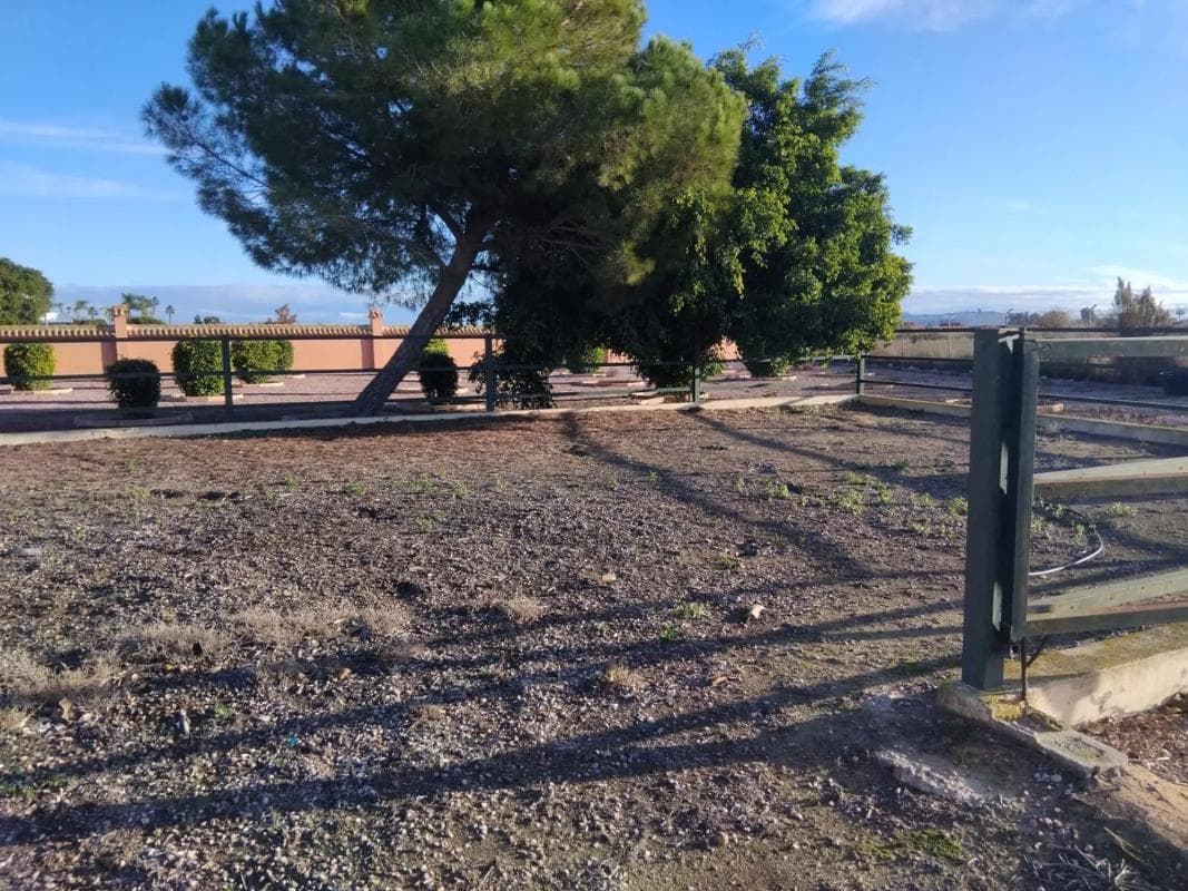 Venta de chalet independiente en Vereda el Maltés, 110, Dolores
photo 5