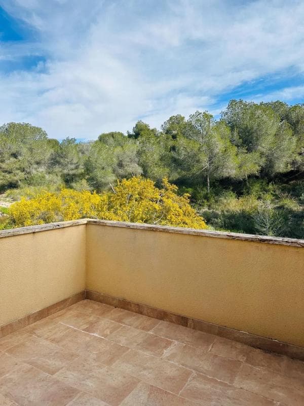 Venta de chalet independiente en Calle Mimosa, Pilar de la Horadada
photo 5