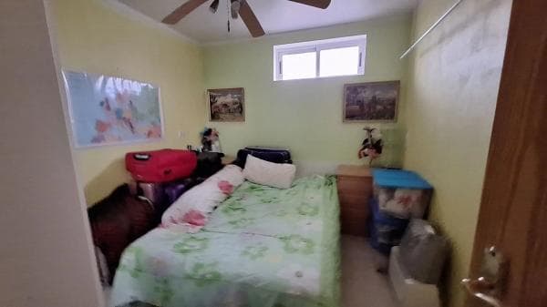 Chalet independiente en venta en AV VICENTE ARACIL, 24, Guardamar del Segura
thumbnail 2