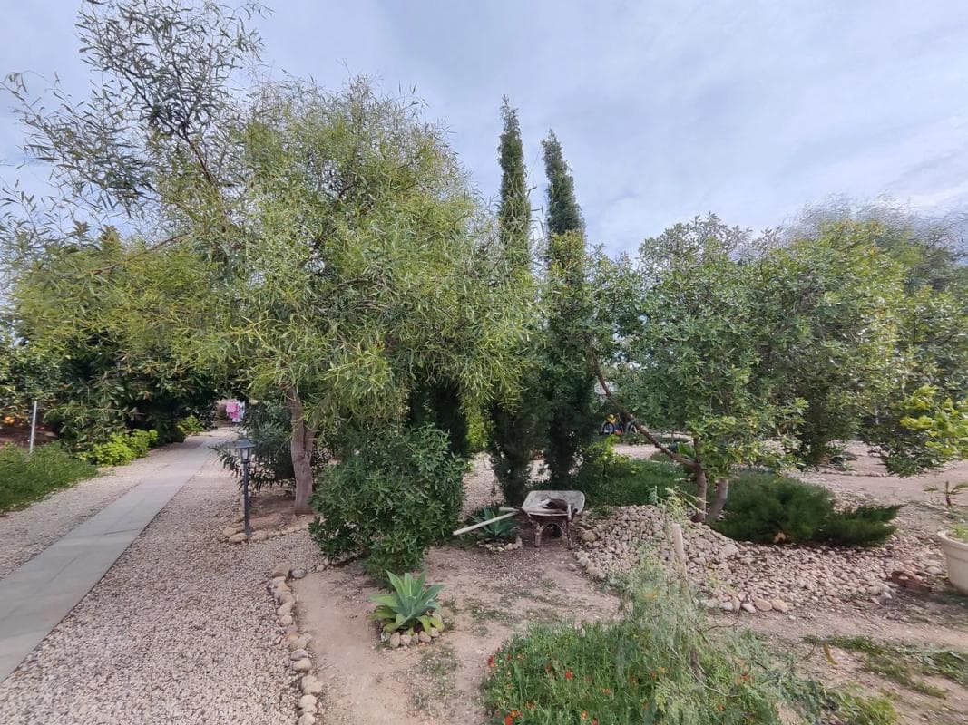 Venta de chalet independiente en La murada, Orihuela
photo 4