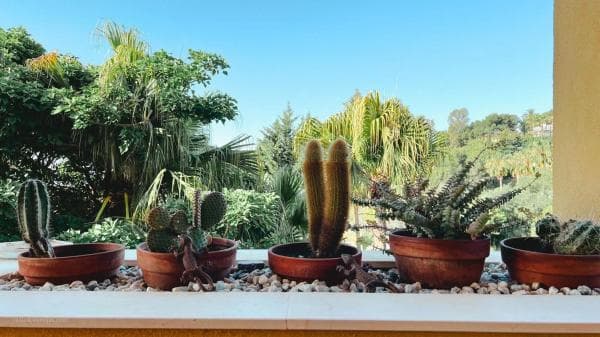 Apartment for sale in Avenida Aljaima, Marbella thumbnail 1