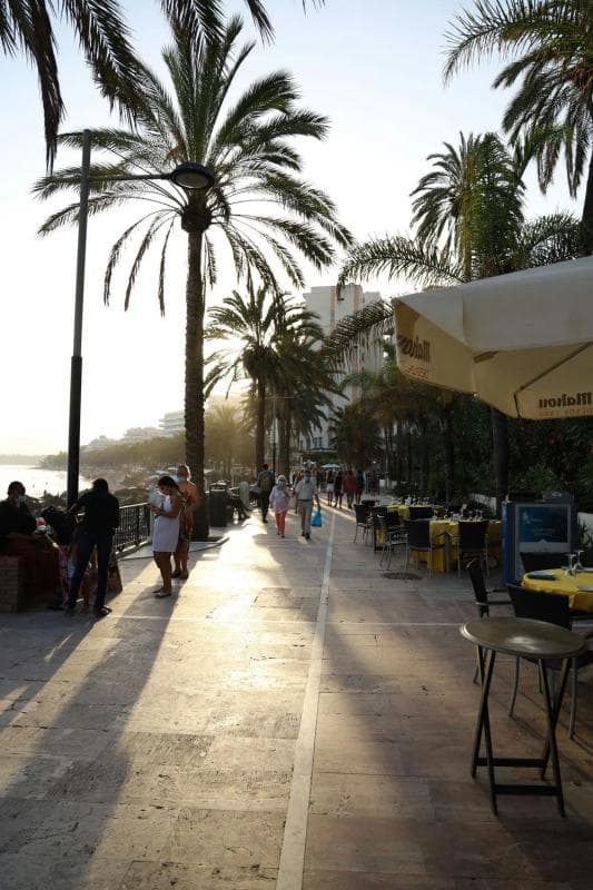 Venta de piso en Calle Playa Real, Marbella
photo 5