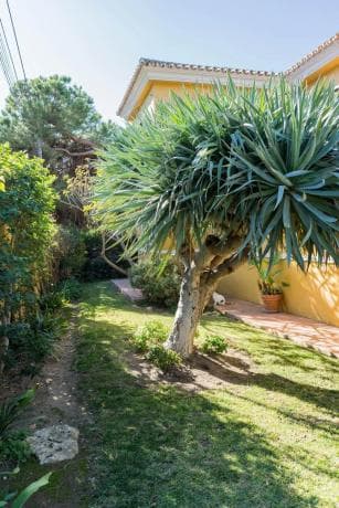 Chalet independiente en venta en Barrio El Rosario-Ricmar, Marbella
thumbnail 1