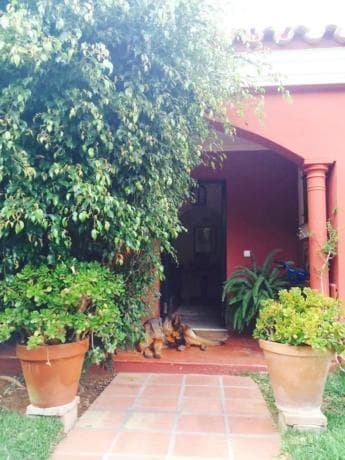 Chalet independiente en venta en Avenida los Pinos, Marbella
thumbnail 2