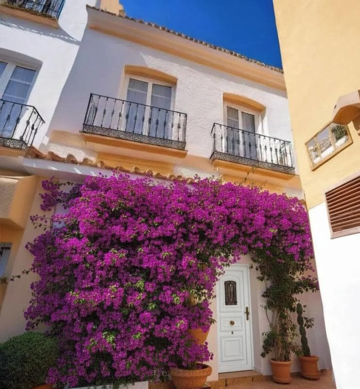 Продажа квартиры на Calle Gloria, 3, Марбелла
photo 5