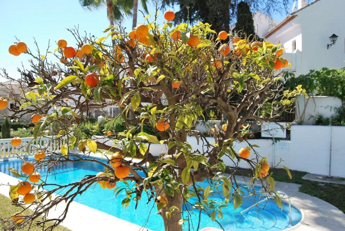 Propiedades en venta y alquiler en España photo 2