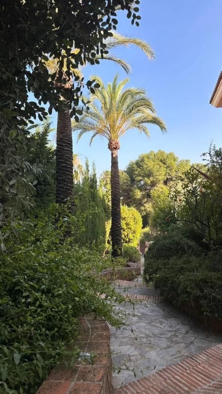 Venta de chalet independiente en CL MOZART-UR SIERRA BLANCA, Marbella
photo 5