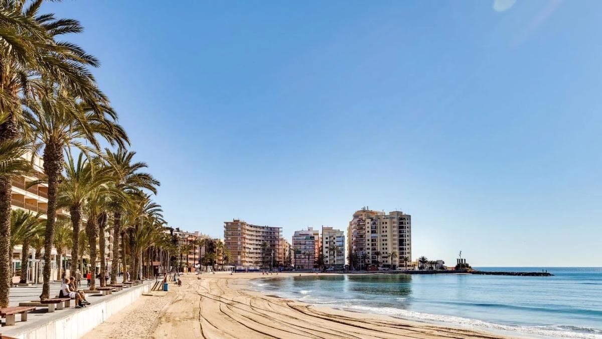 Sale of apartment in Calle Félix Rodríguez de la Fuente, 3, Torrevieja
photo 5