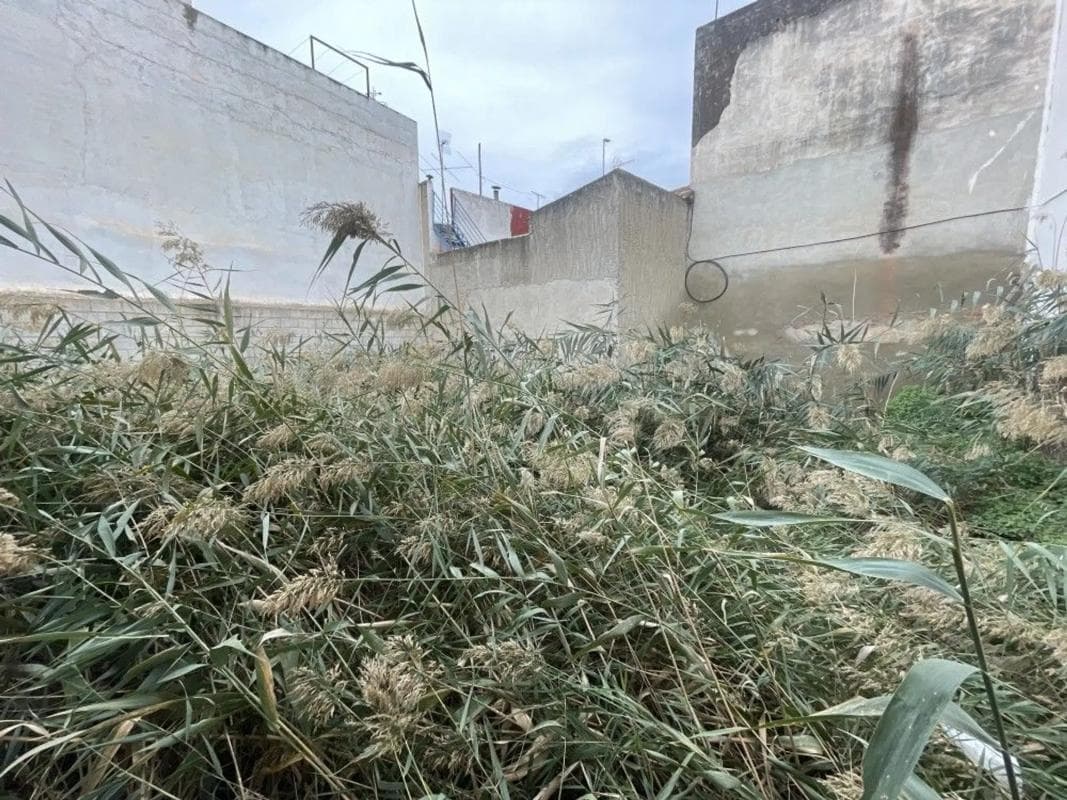 Terreno en venta en Dolores, Alicante photo 3