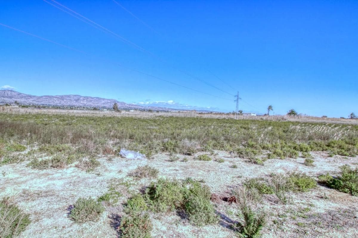 Terreno en venta en San Isidro, Alicante photo 4