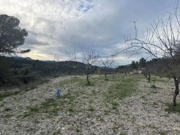Terreno en Benimarfull photo 4