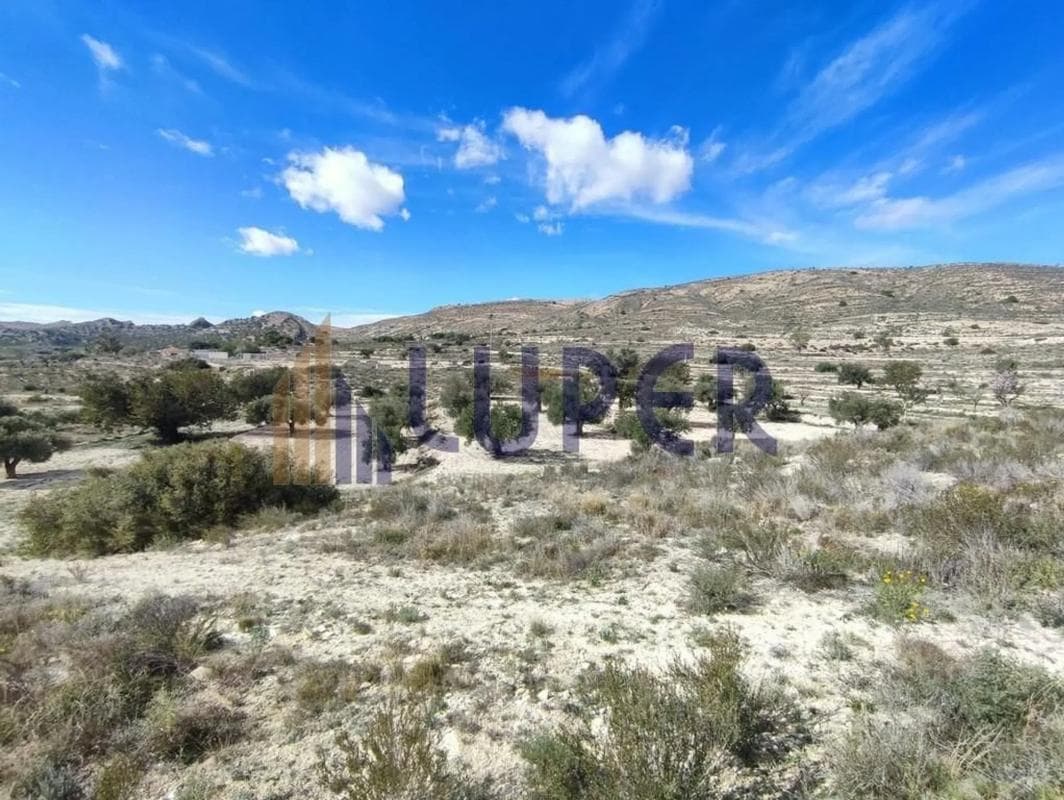 Terreno en venta en Moralet, Alicante photo 3