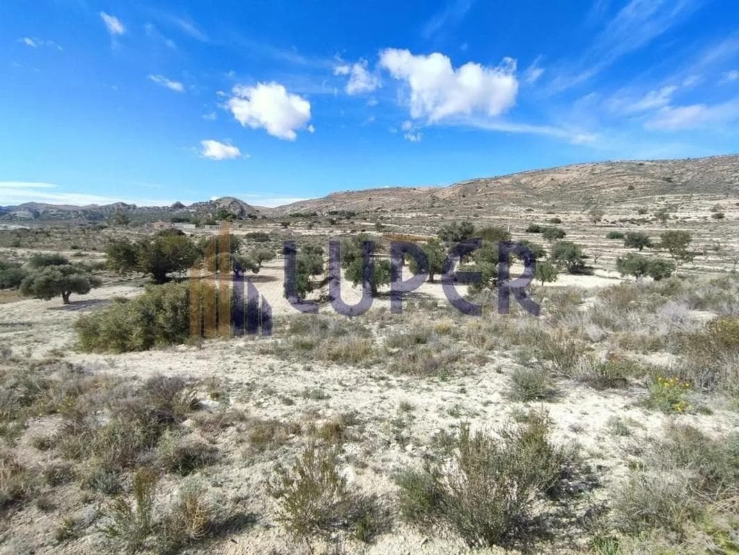 Terreno en venta en Moralet, Alicante photo 4