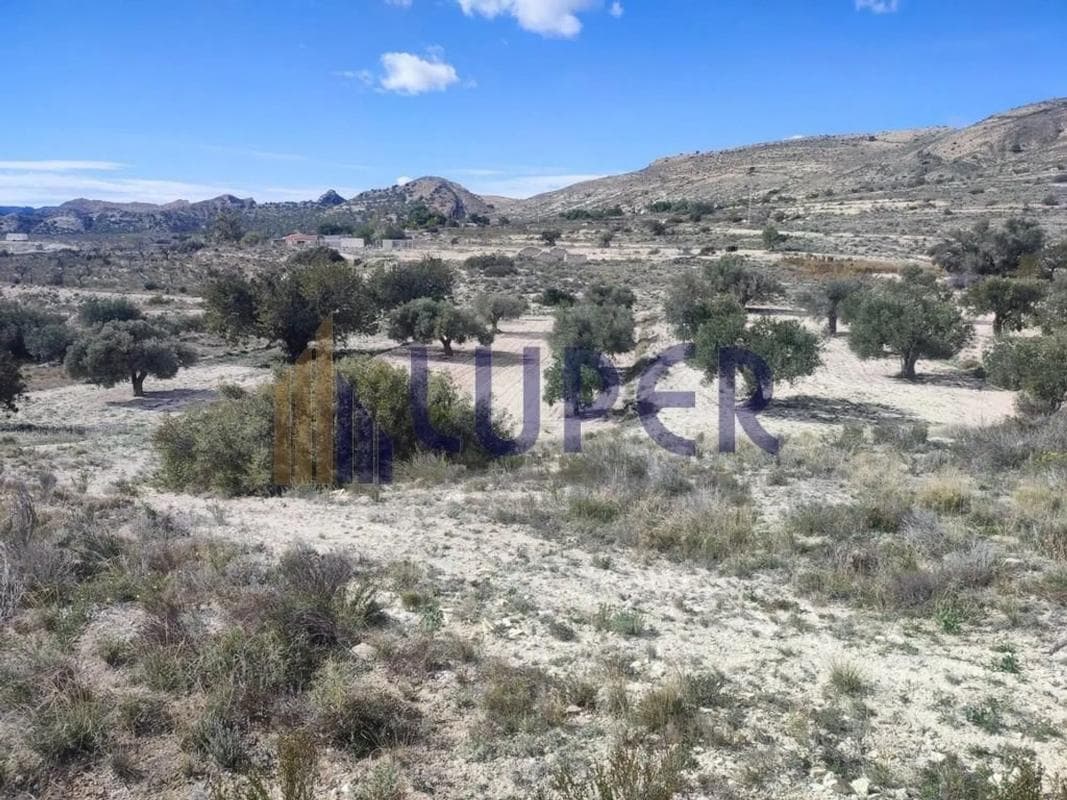 Terreno en venta en Moralet, Alicante photo 5