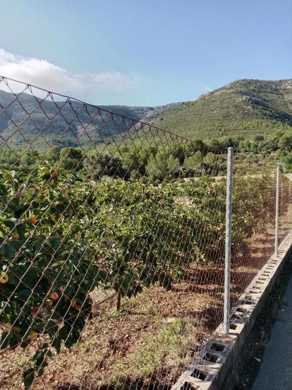Terreno en venta en Parcent, Alicante photo 2