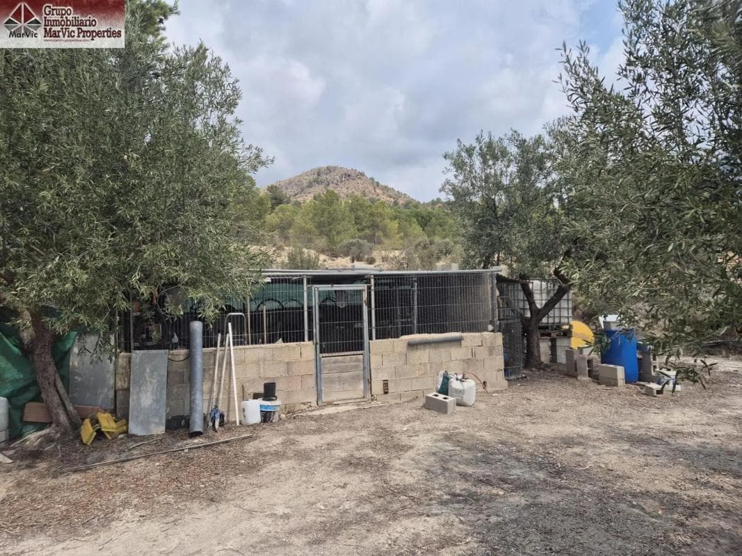 Property photo 5