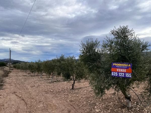 Rustic farm for sale in Sax , Sax photo 4