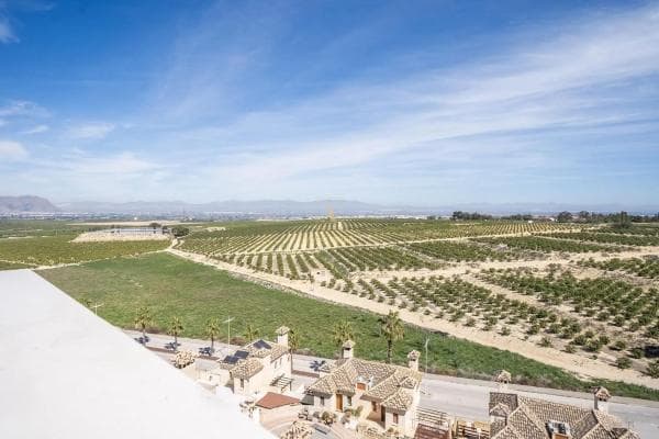 Chalet independiente en venta en Algorfa, Algorfa
thumbnail 1