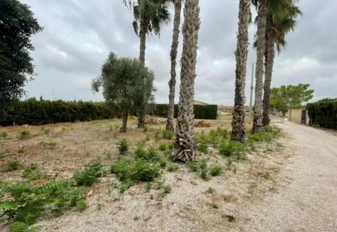 Venta de chalet independiente en Formentera del Segura, Formentera del Segura
photo 3