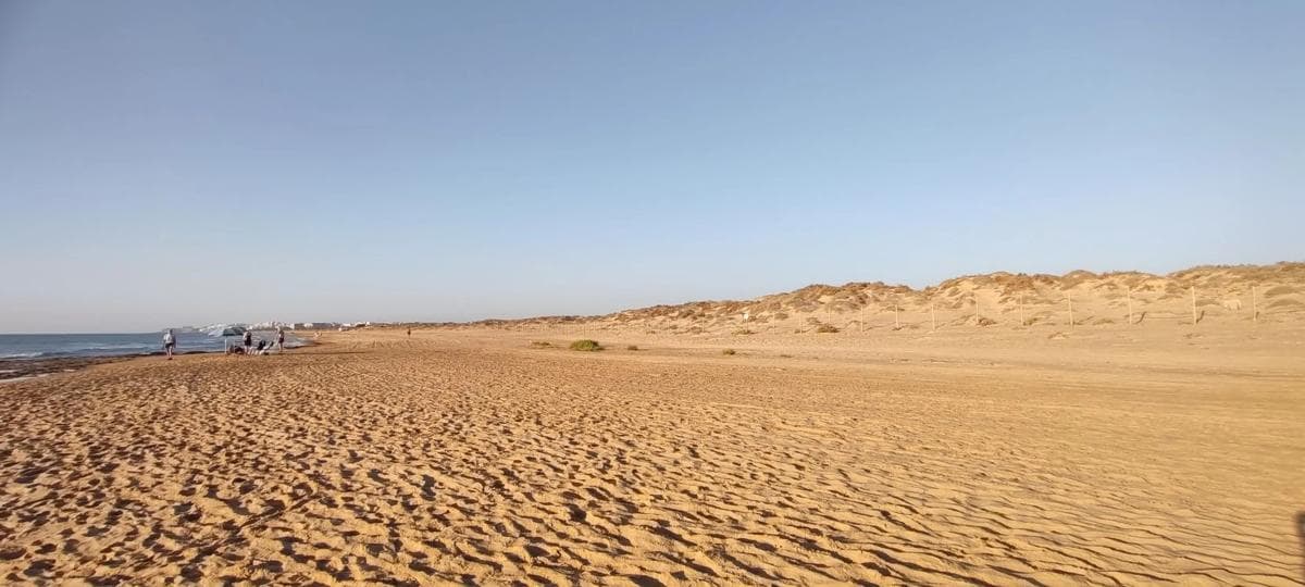 Venta de piso en Partida Lomas del Polo, 8, Guardamar del Segura
photo 4