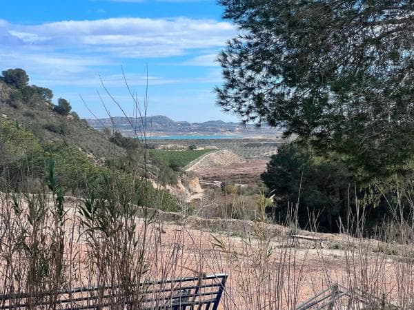 Rustic farm for sale in Desamparados-Hurchillo-Torremendo , Orihuela thumbnail 2