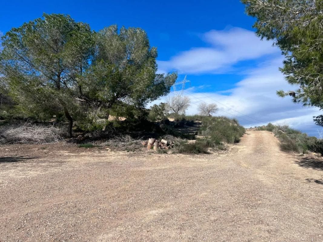 Venta de finca rústica en Desamparados-Hurchillo-Torremendo , Orihuela photo 5