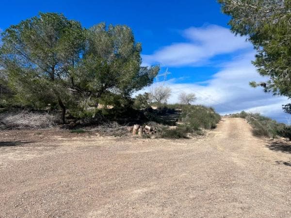 Finca rústica en venta en Desamparados-Hurchillo-Torremendo , Orihuela thumbnail 2