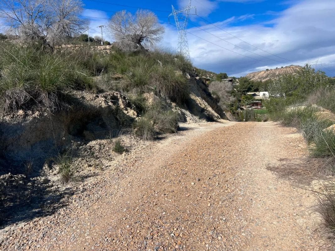 Sale of rural property in Desamparados-Hurchillo-Torremendo , Orihuela photo 4