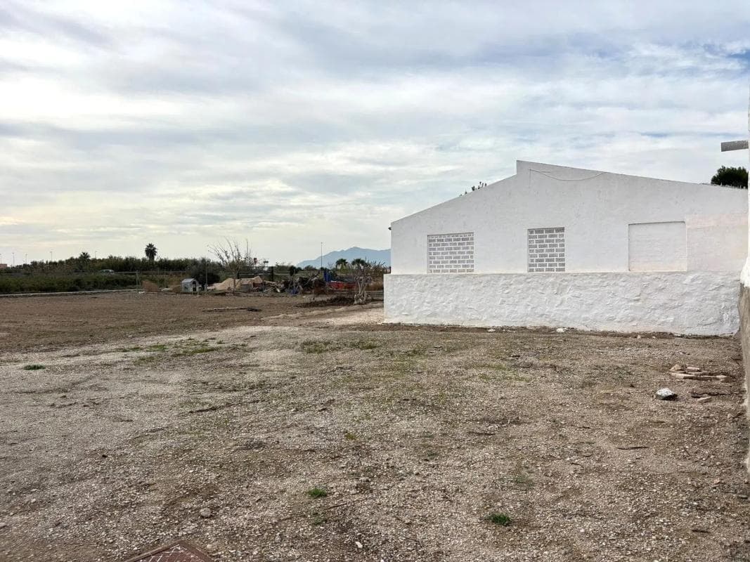 Venta de finca rústica en Crevillente , Crevillente photo 3