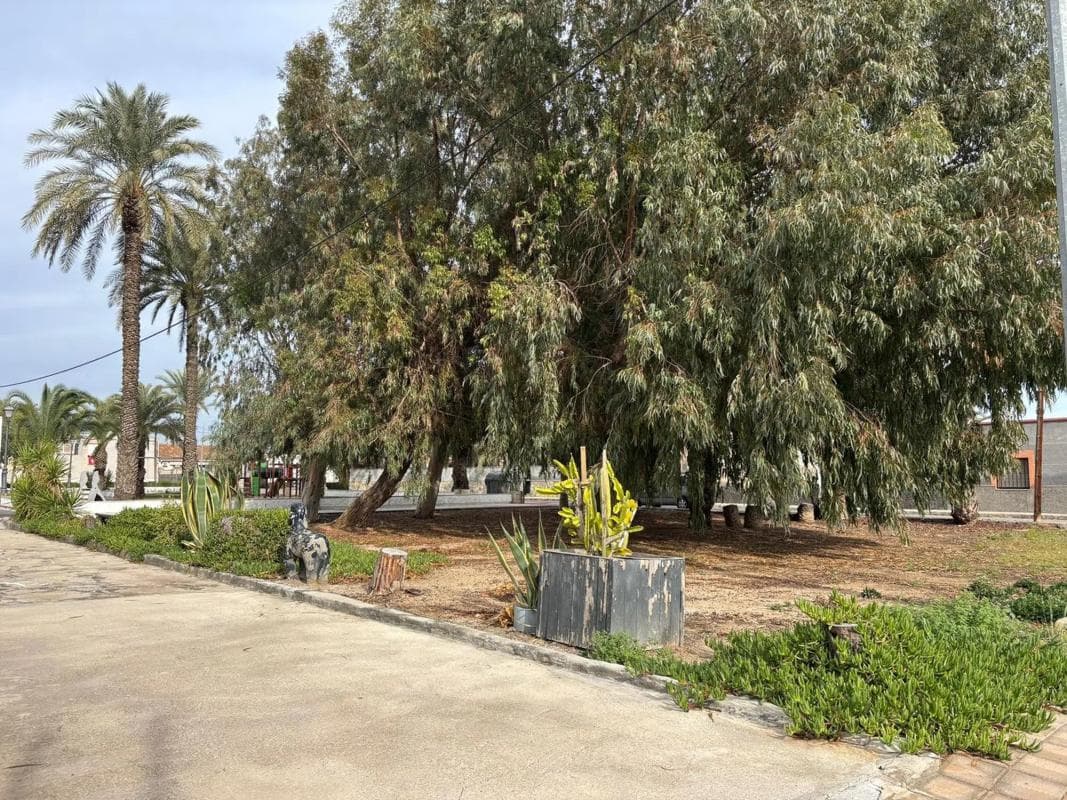 Venta de chalet independiente en Crevillente, Crevillente
photo 4