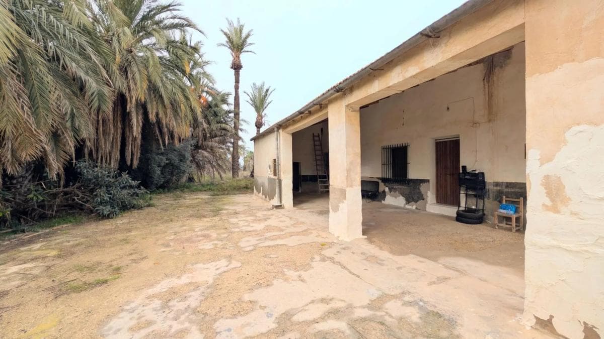Venta de finca rústica en Algoda-Matola-Llano de San José , Elche / Elx photo 3