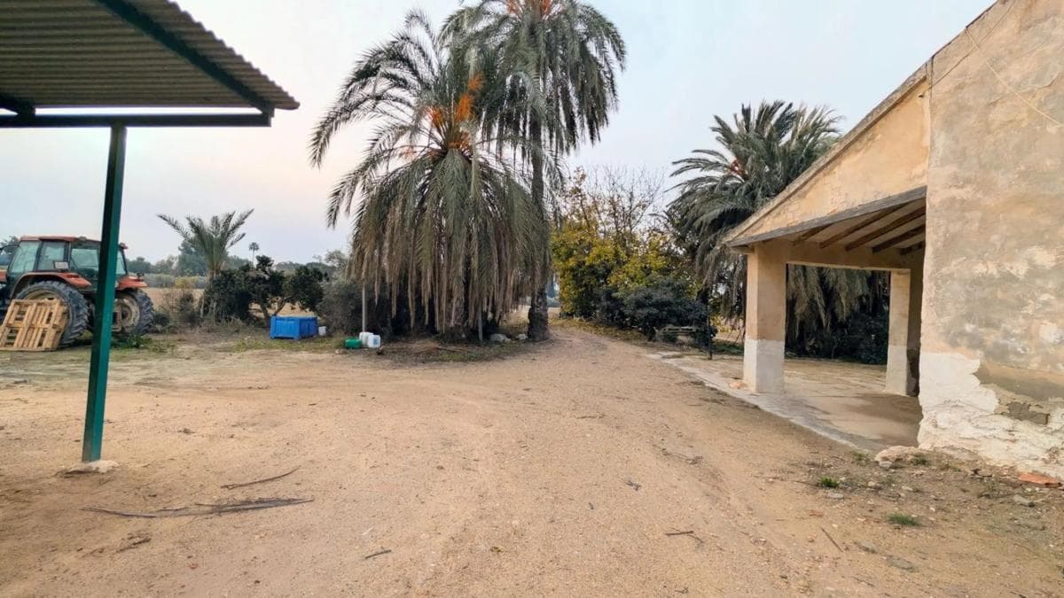 Venta de finca rústica en Algoda-Matola-Llano de San José , Elche / Elx photo 4