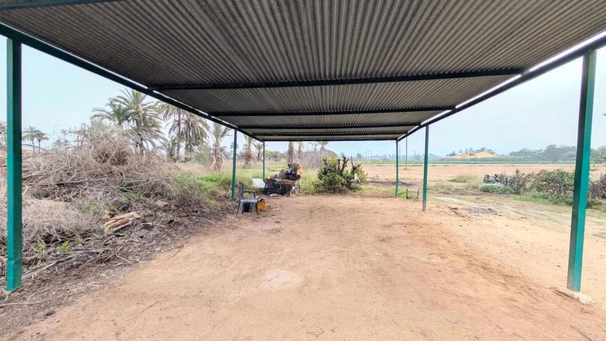 Venta de finca rústica en Algoda-Matola-Llano de San José , Elche / Elx photo 5