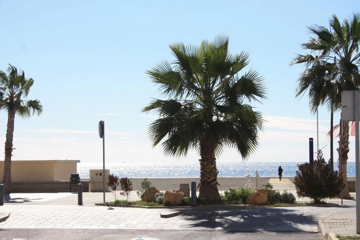 Venta de estudio en Avenida del Tamarit, Santa Pola photo 3