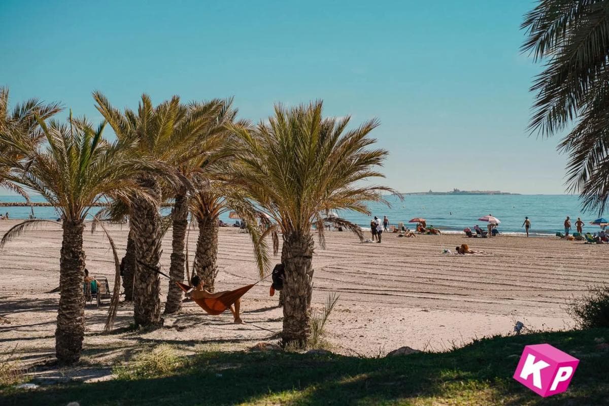 Venta de piso en Avenida Vicente Blasco Ibañez, Santa Pola
photo 5