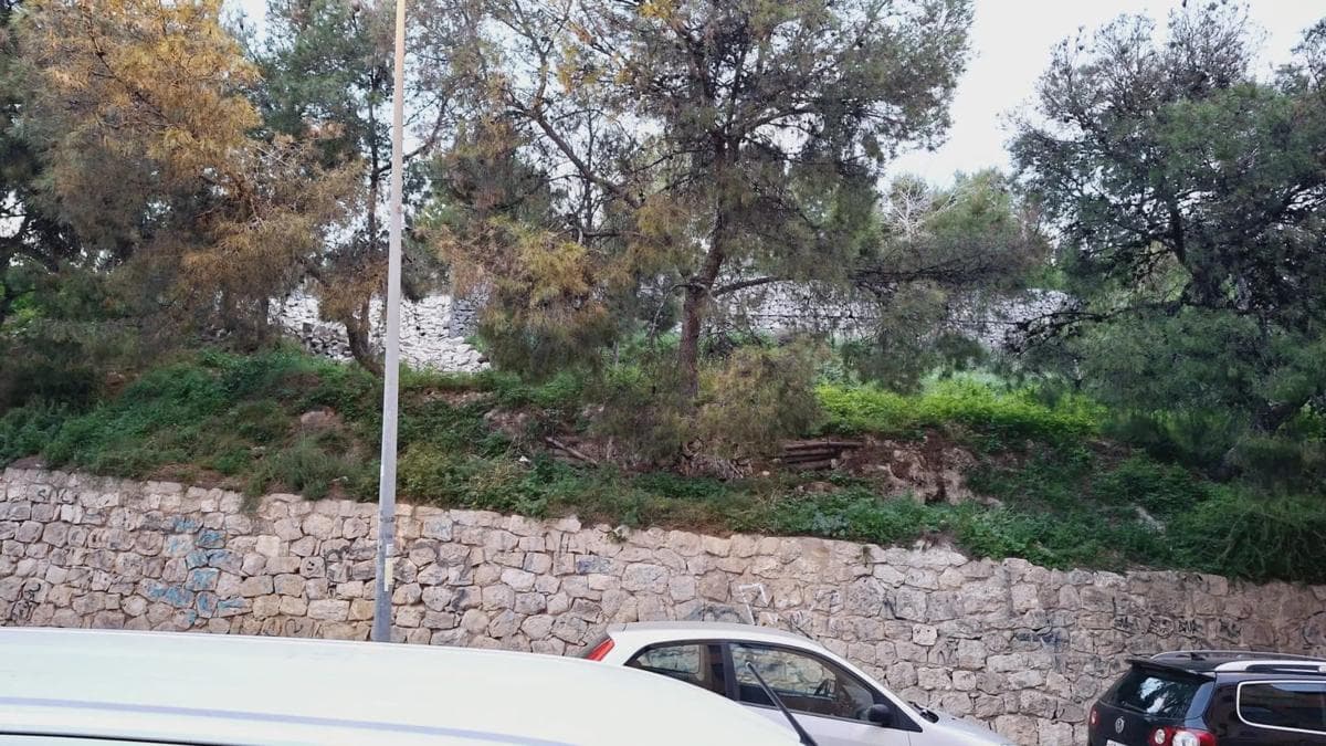 Properties for sale and rent in Spain photo 5