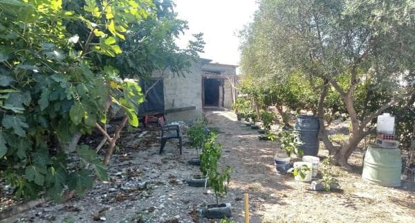 Finca rústica en venta en Dolores , Dolores photo 1