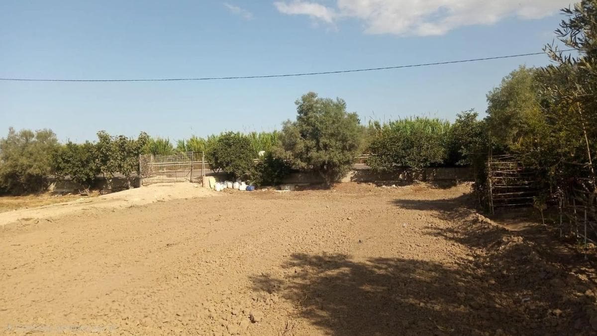 Venta de finca rústica en Dolores , Dolores photo 3