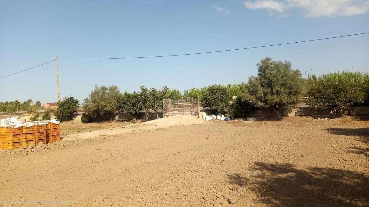 Venta de finca rústica en Dolores , Dolores photo 4