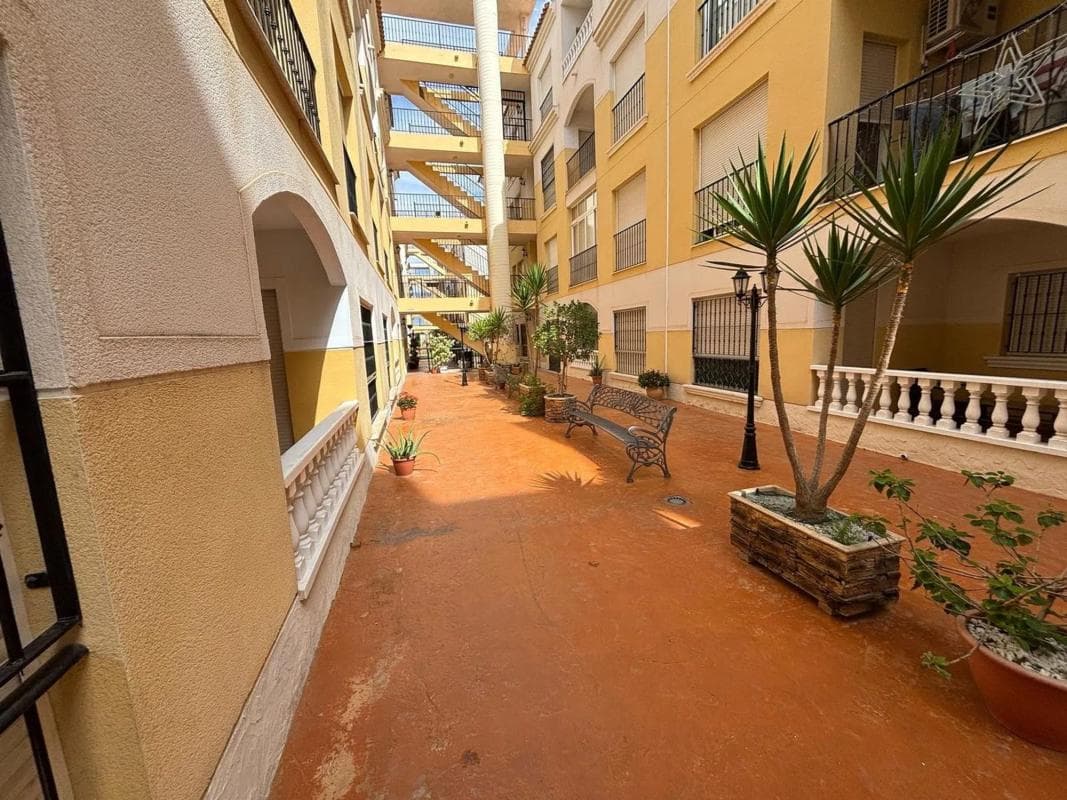 Venta de piso en Formentera del Segura, Formentera del Segura
photo 5