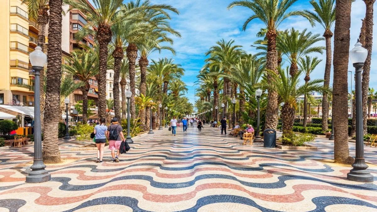 Propiedades en venta y alquiler en España photo 5