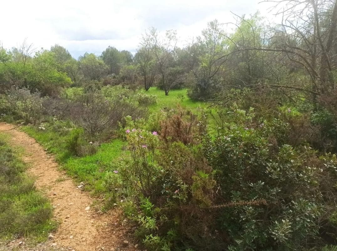 Terreno en venta en Vall de Gallinera, Alicante photo 4